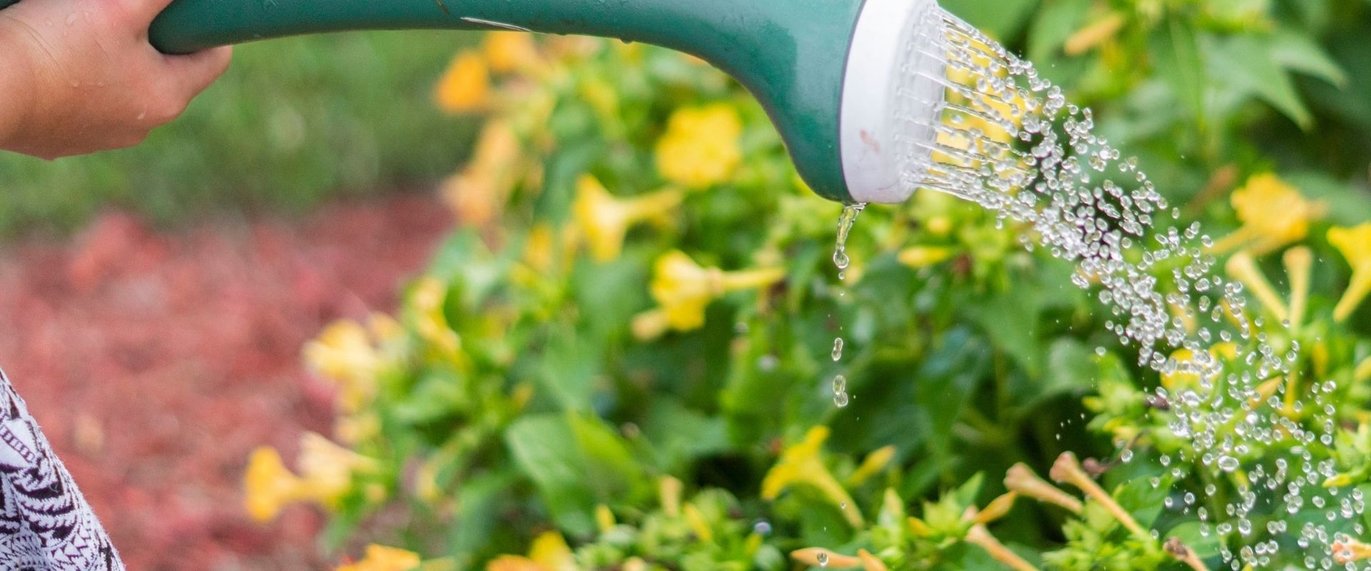 Municipal Programs for Reducing Water Usage: Tips and Benefits for a Sustainable Lifestyle