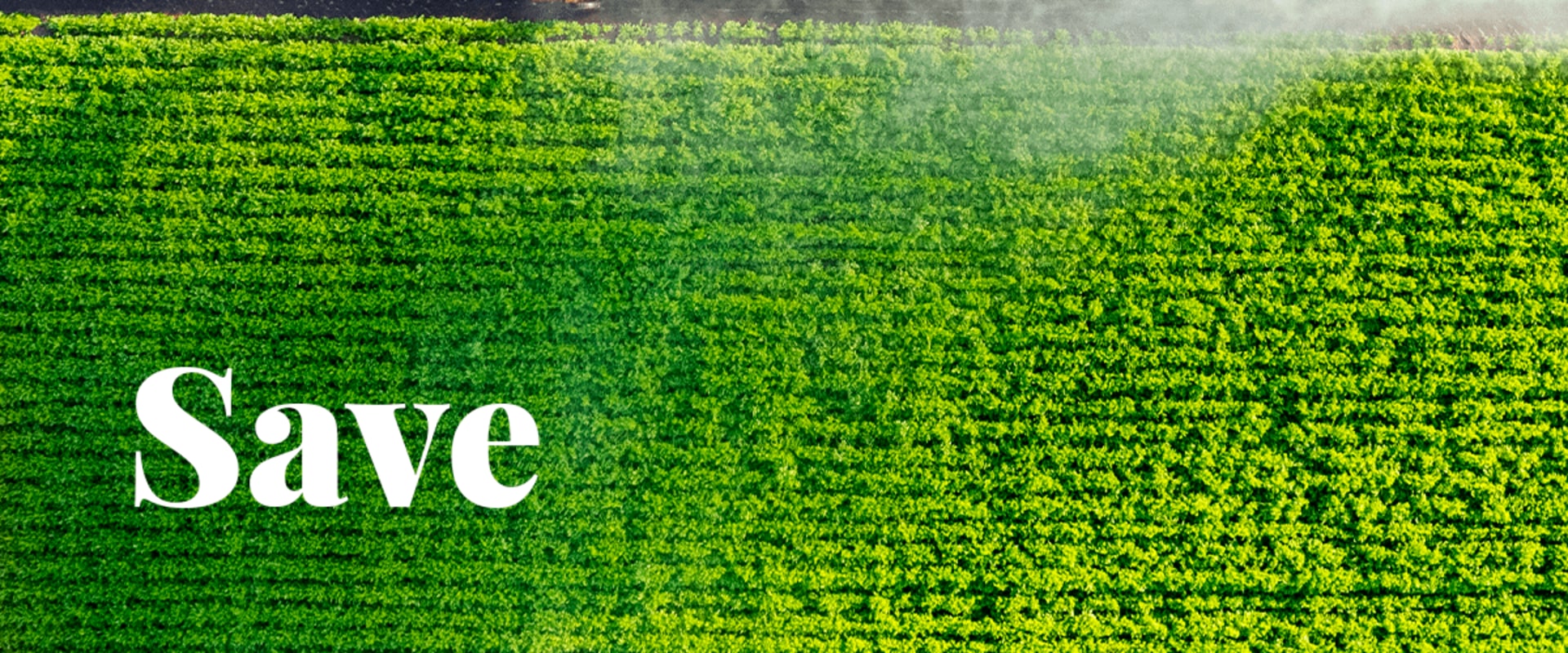 Incentive Programs for Reducing Water Usage: Tips, Benefits, and Impact