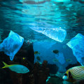 The Impact of Water Conservation on Water Quality and Marine Life