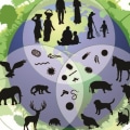 Protecting Biodiversity and Ecosystems: The Importance of Home Water Conservation