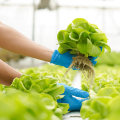 The Role of Water Conservation in Reducing Greenhouse Gas Emissions