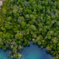 Smart Systems for Monitoring and Managing Water Usage: A Comprehensive Overview