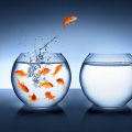 Barriers to Adopting Water-Saving Measures: Overcoming Resistance to Change