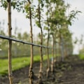 Water Conservation Initiatives: How to Reduce Your Water Usage and Live Sustainably