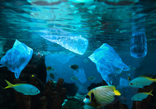 The Impact of Water Conservation on Water Quality and Marine Life