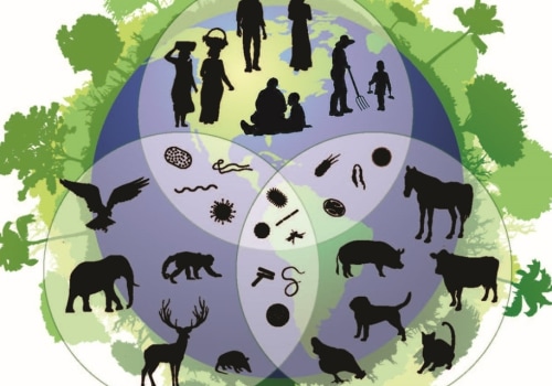 Protecting Biodiversity and Ecosystems: The Importance of Home Water Conservation