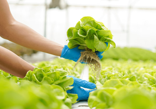 The Role of Water Conservation in Reducing Greenhouse Gas Emissions