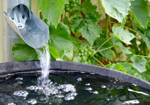 Water Conservation: How to Reduce Your Water Usage and Save Money on Your Household Budget