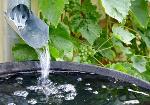 Water Conservation: How to Reduce Your Water Usage and Save Money on Your Household Budget