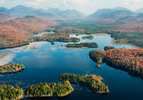 Protecting Habitats and Mitigating Natural Disasters: A Guide to Water Conservation and Sustainable Living