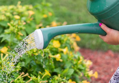 Municipal Programs for Reducing Water Usage: Tips and Benefits for a Sustainable Lifestyle