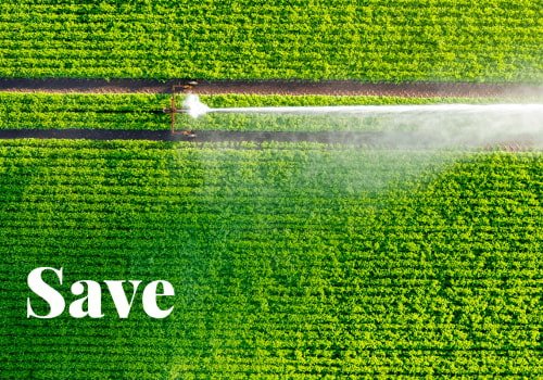 Incentive Programs for Reducing Water Usage: Tips, Benefits, and Impact
