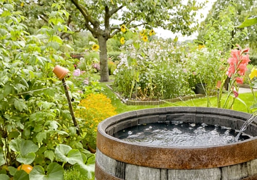 Rainwater Harvesting Systems: A Comprehensive Guide to Water Conservation at Home