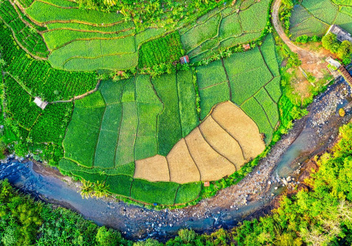 Investments in Eco-Friendly Technologies and Practices: A Comprehensive Overview for Home Water Conservation