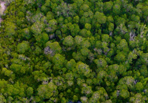 Smart Systems for Monitoring and Managing Water Usage: A Comprehensive Overview