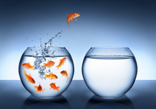 Barriers to Adopting Water-Saving Measures: Overcoming Resistance to Change