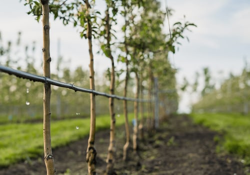 Water Conservation Initiatives: How to Reduce Your Water Usage and Live Sustainably