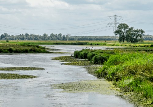 Creating Resilient and Self-Sufficient Communities: The Power of Water Conservation