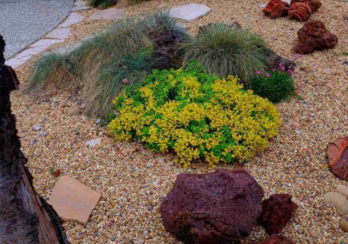 Xeriscaping and Drought-Resistant Plants: Save Water, Save the Environment